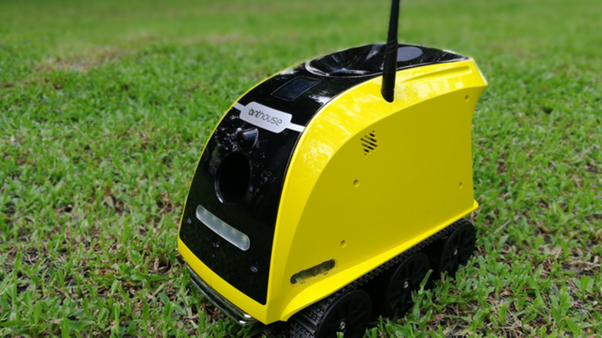 Robot de compagnie pour animaux Anthouse