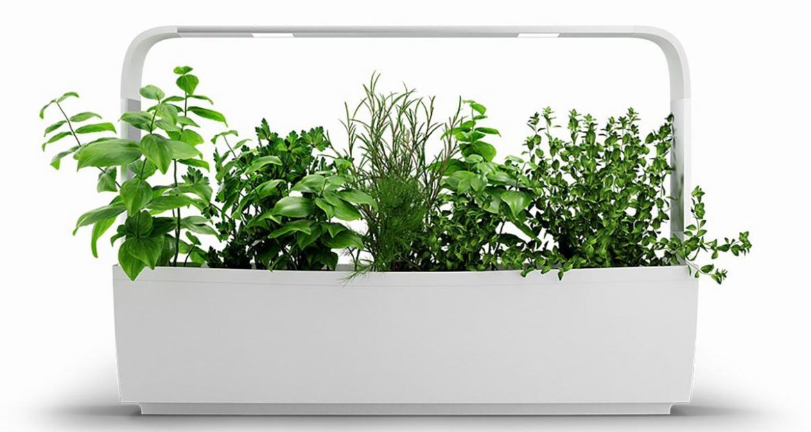 Potager connecté KITCHEN GARDEN